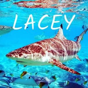 Meet your Posher, Lacey